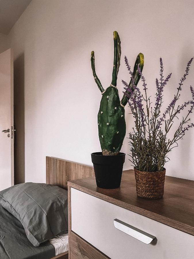 Cozy 3 Bedrooms Flat In Paceville سانت جوليان المظهر الخارجي الصورة